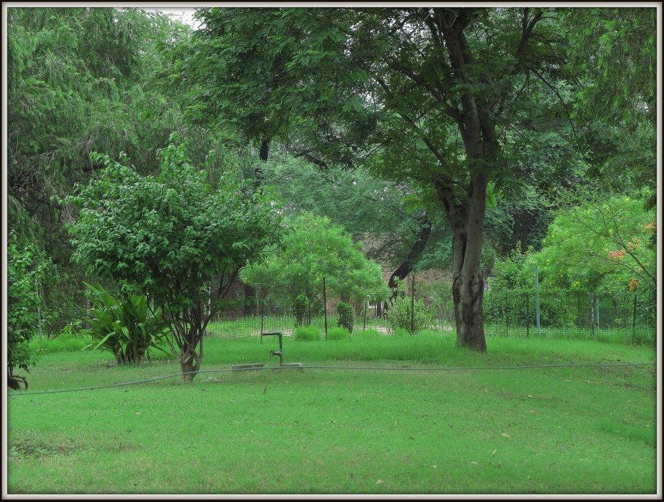 Hotel Bharatpur Ashok エクステリア 写真